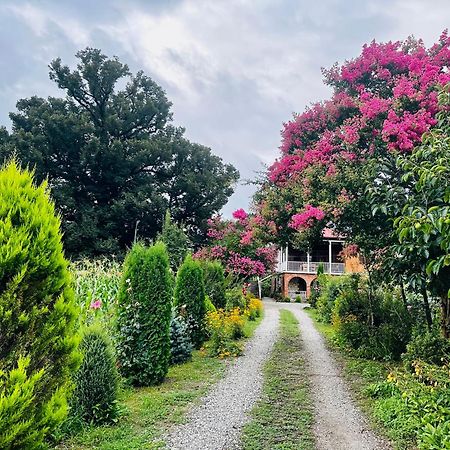 Guesthouse Kamelia マートヴィリ エクステリア 写真