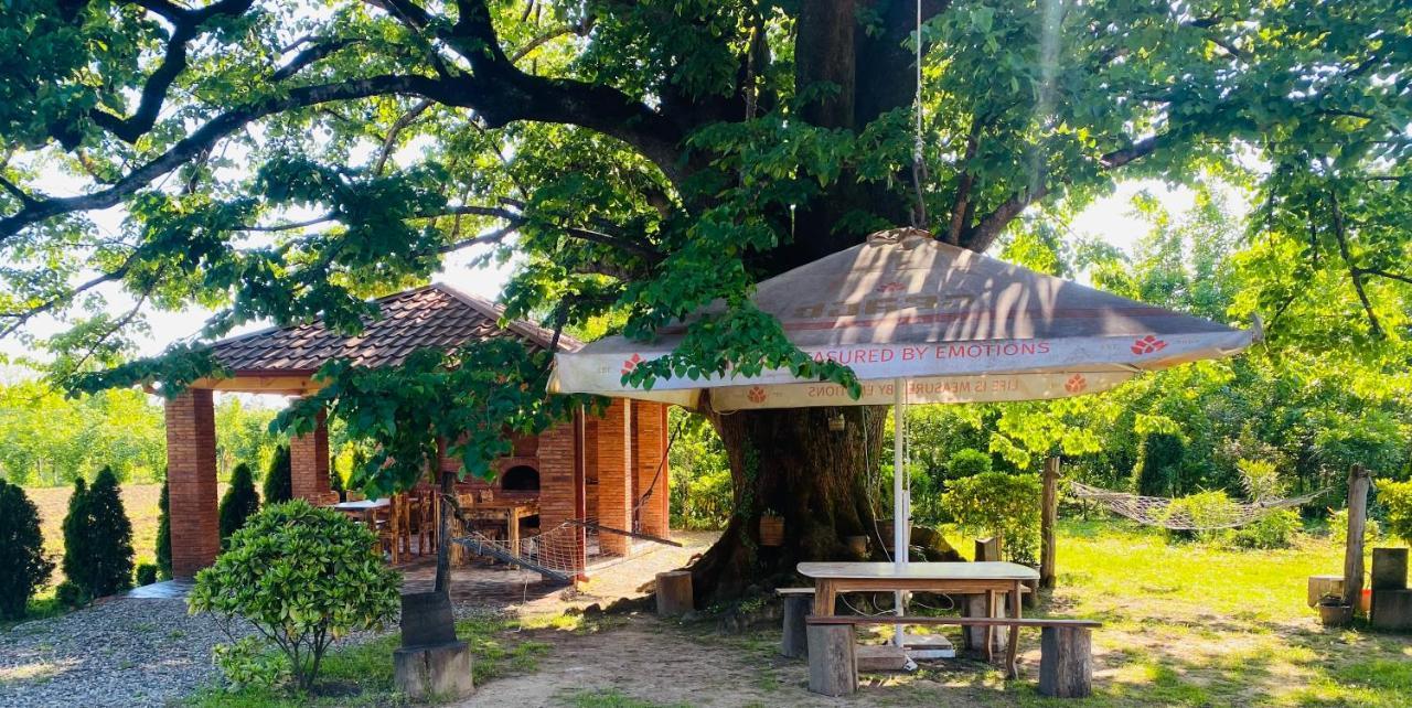 Guesthouse Kamelia マートヴィリ エクステリア 写真
