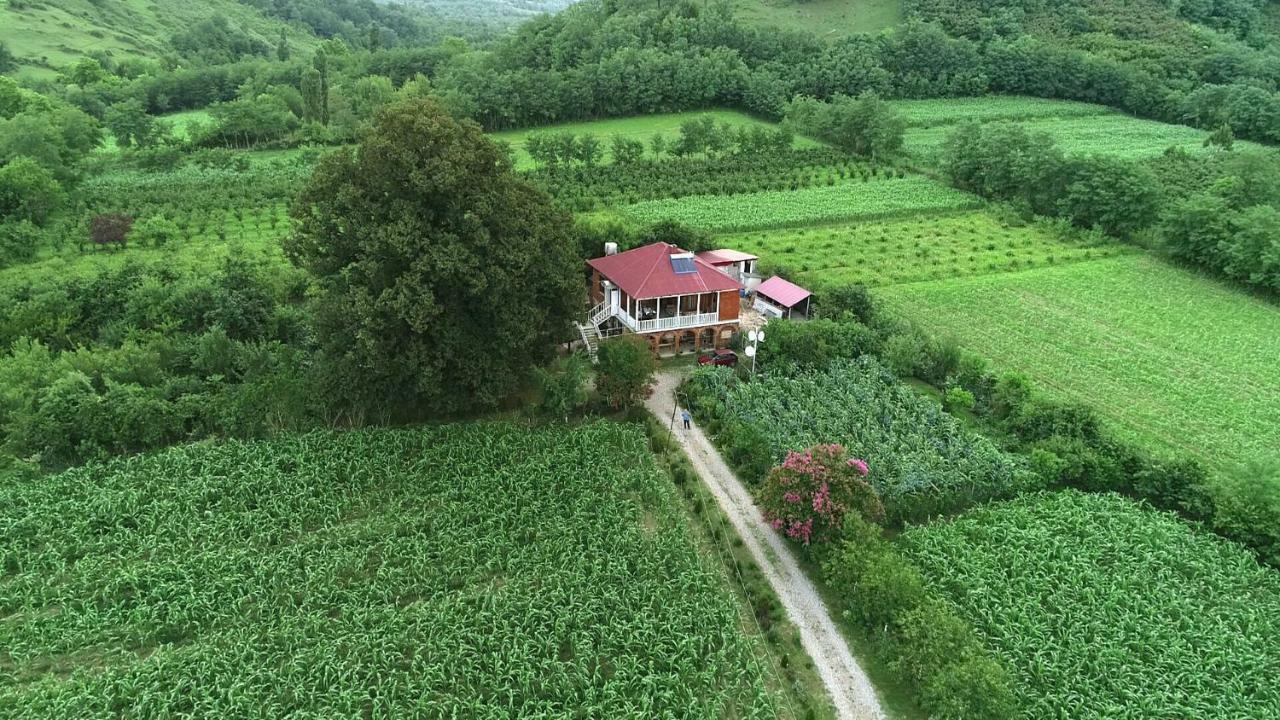 Guesthouse Kamelia マートヴィリ エクステリア 写真
