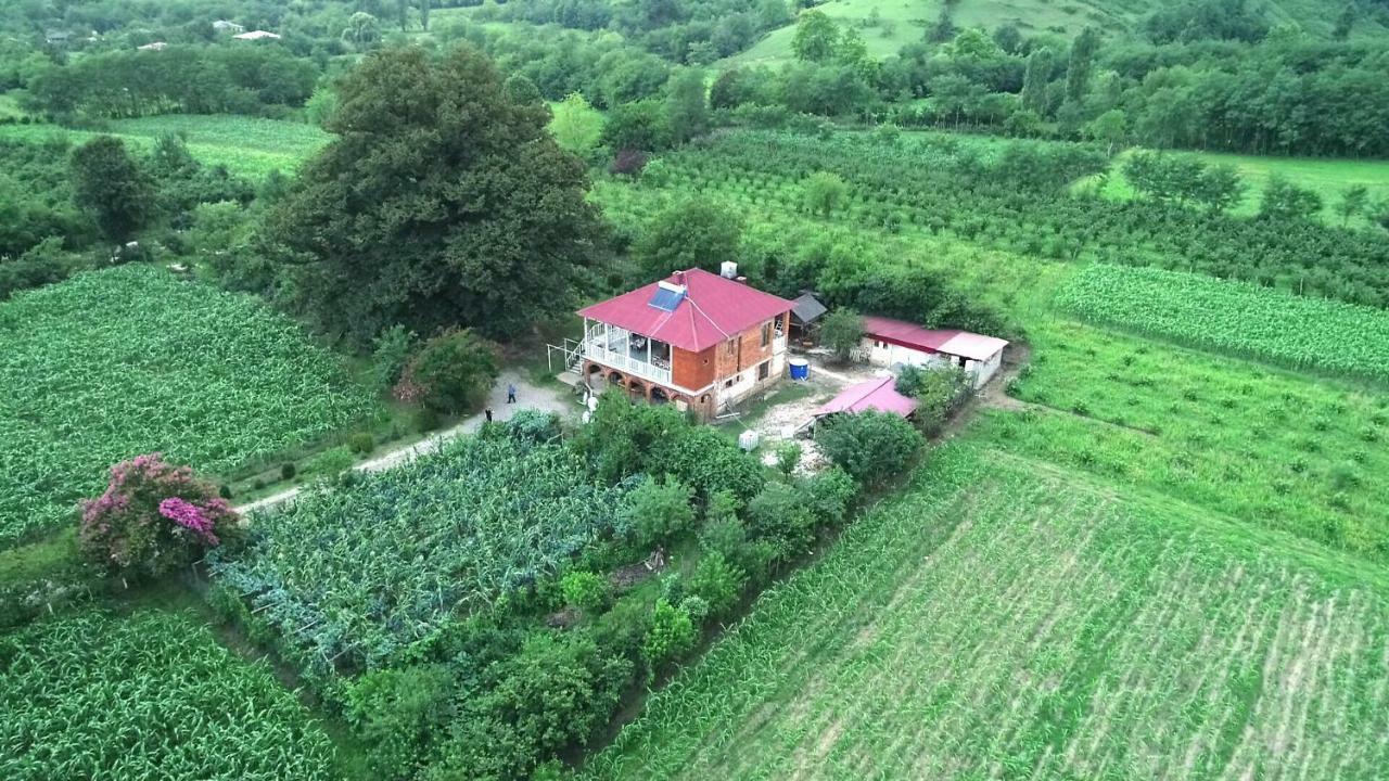 Guesthouse Kamelia マートヴィリ エクステリア 写真