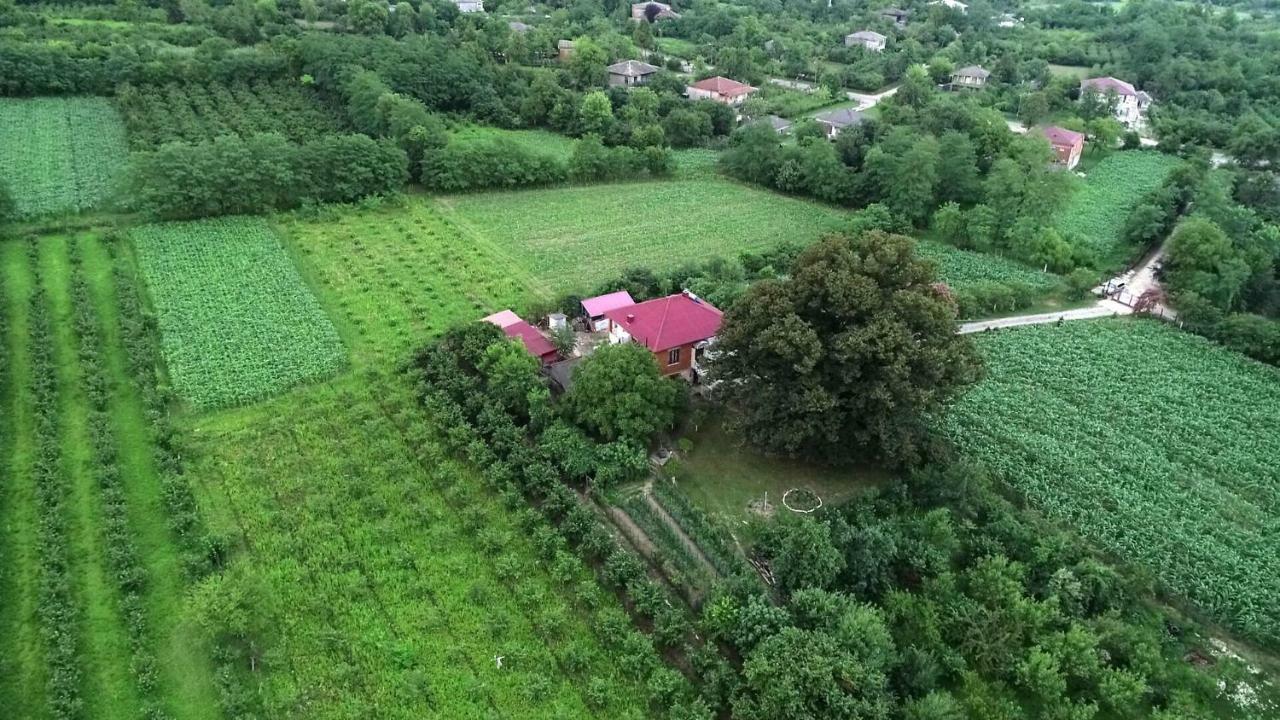 Guesthouse Kamelia マートヴィリ エクステリア 写真